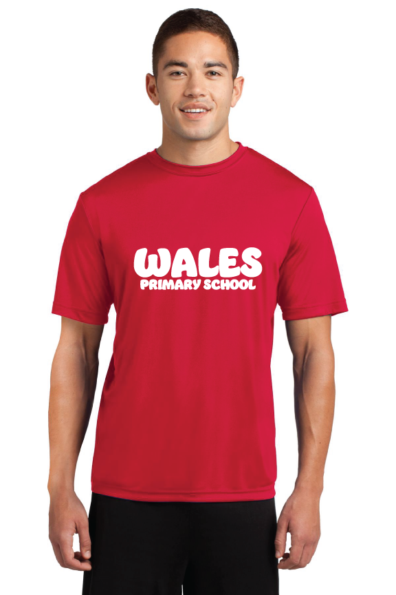 Custom Activewear for Wales Primary PTO