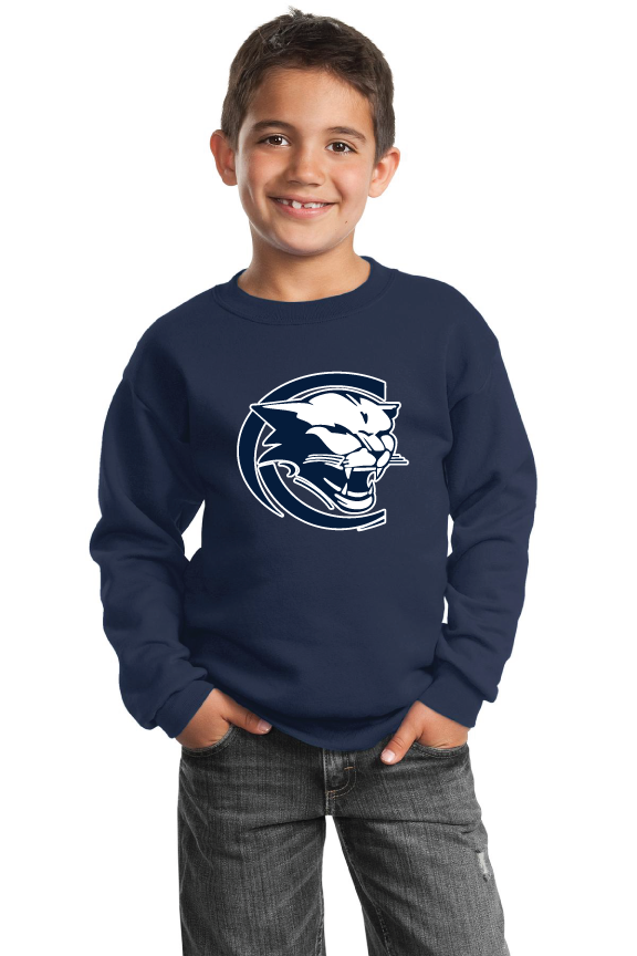 Custom Sweatshirts/Fleece for CSRA Little Loop Football and Cheerleading