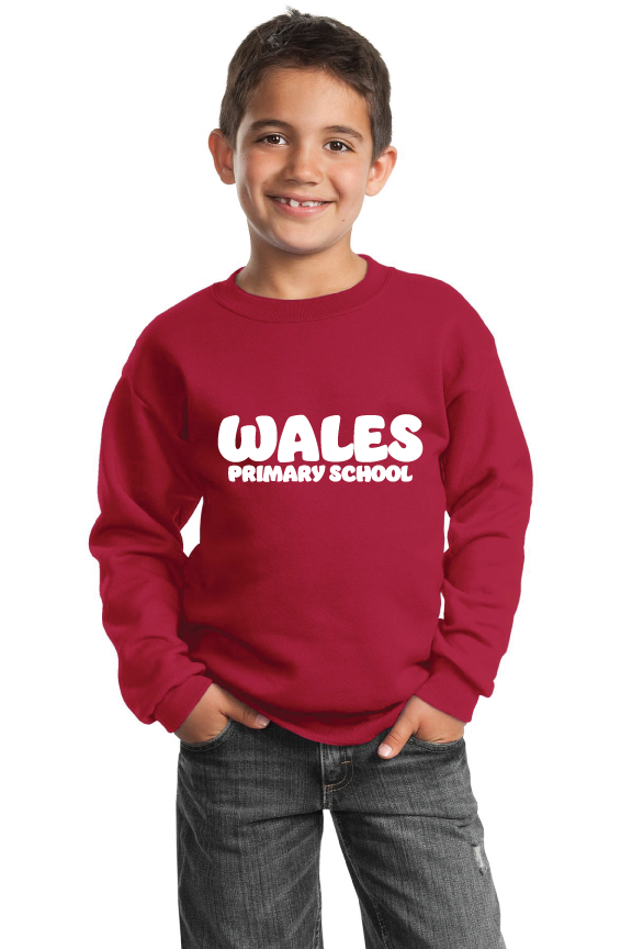 Custom Sweatshirts/Fleece for Wales Primary PTO