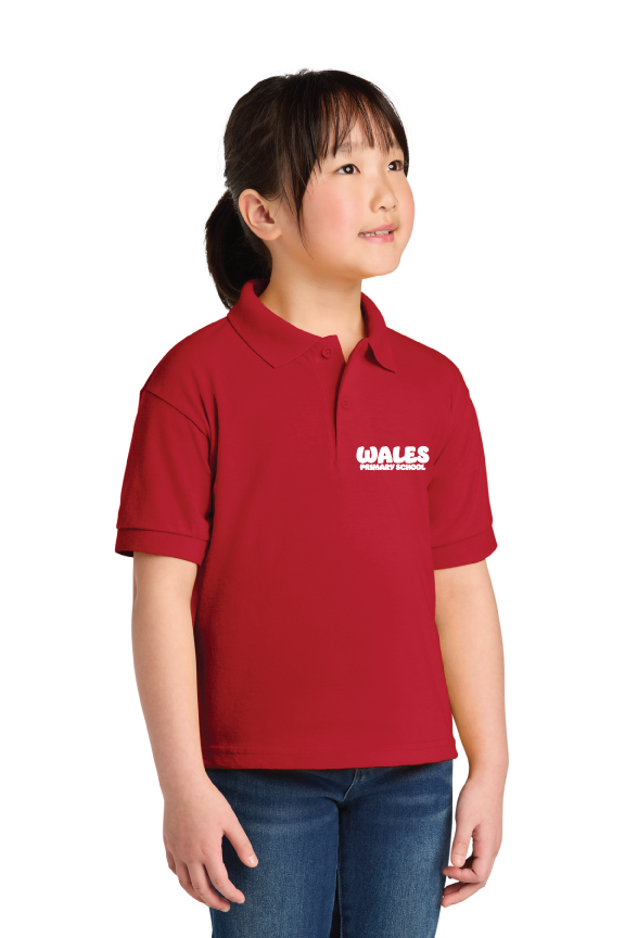 Custom Polos/Knits for Wales Primary PTO