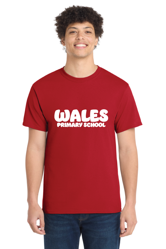 Custom T-Shirts for Wales Primary PTO