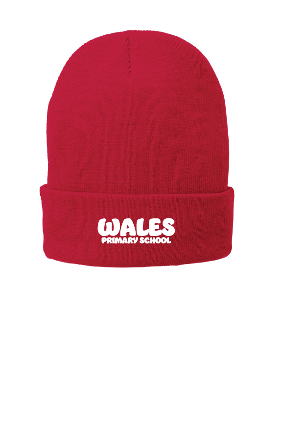 Custom Caps for Wales Primary PTO